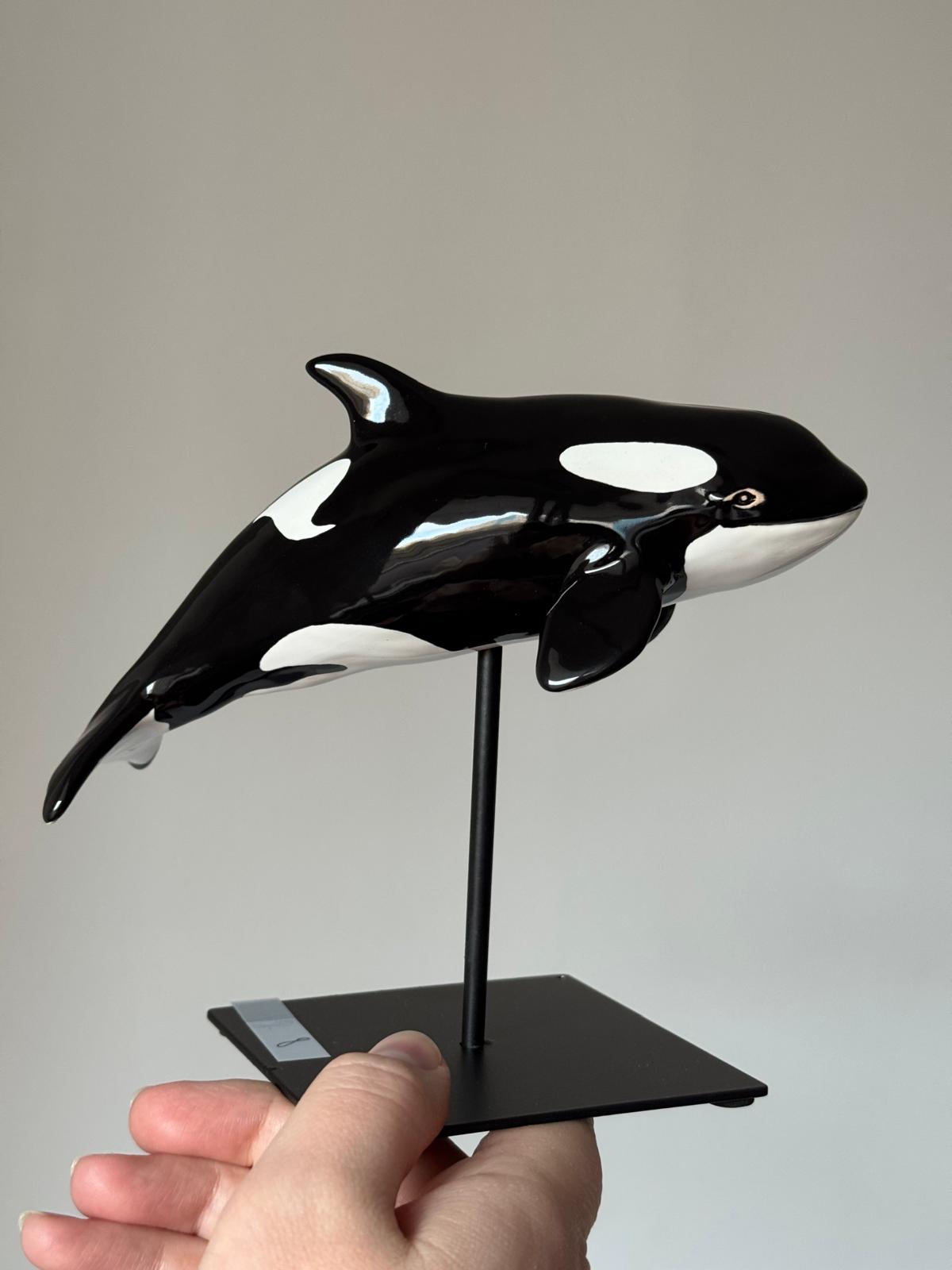 Baby Orca